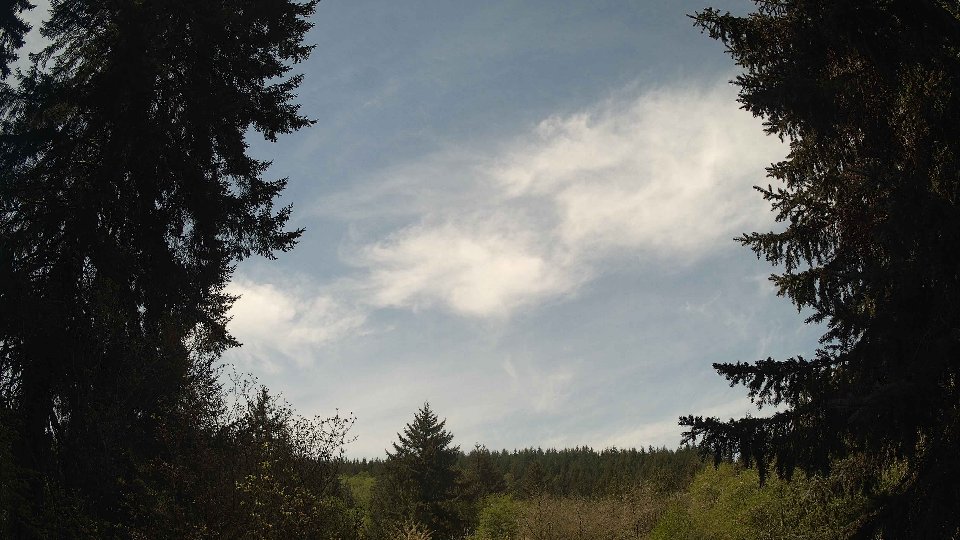 Pacific Northwest skyline timelapse frame from May 1st, 2026 at 11:30 AM