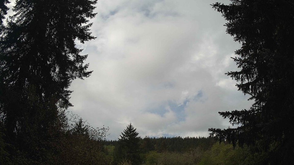 Pacific Northwest skyline timelapse frame from May 2nd, 2026 at 11:30 AM