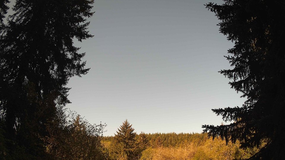 Pacific Northwest skyline timelapse frame from May 3rd, 2026 at 8:45 AM