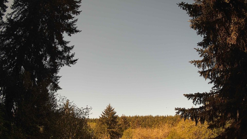 Pacific Northwest skyline timelapse frame from May 3rd, 2026 at 9:30 AM