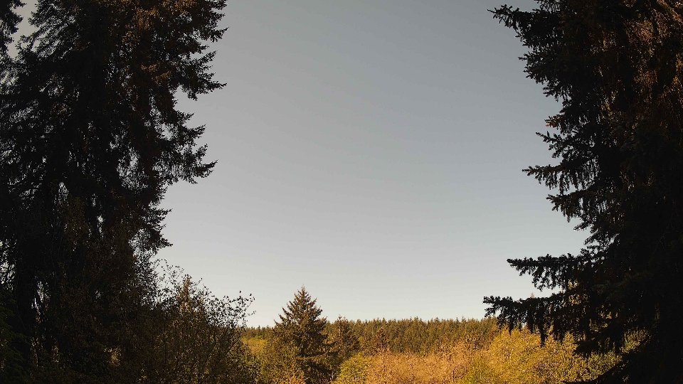 Pacific Northwest skyline timelapse frame from May 3rd, 2026 at 10:00 AM