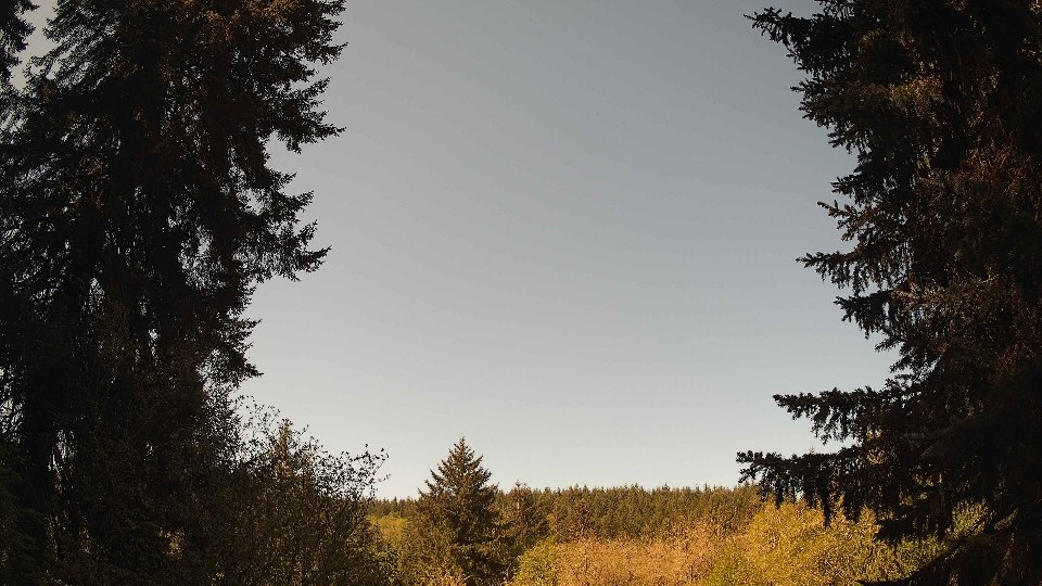 Pacific Northwest skyline timelapse frame from May 3rd, 2026 at 10:15 AM