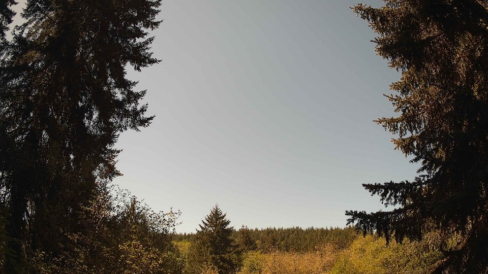 Pacific Northwest skyline timelapse frame from May 3rd, 2026 at 11:30 AM
