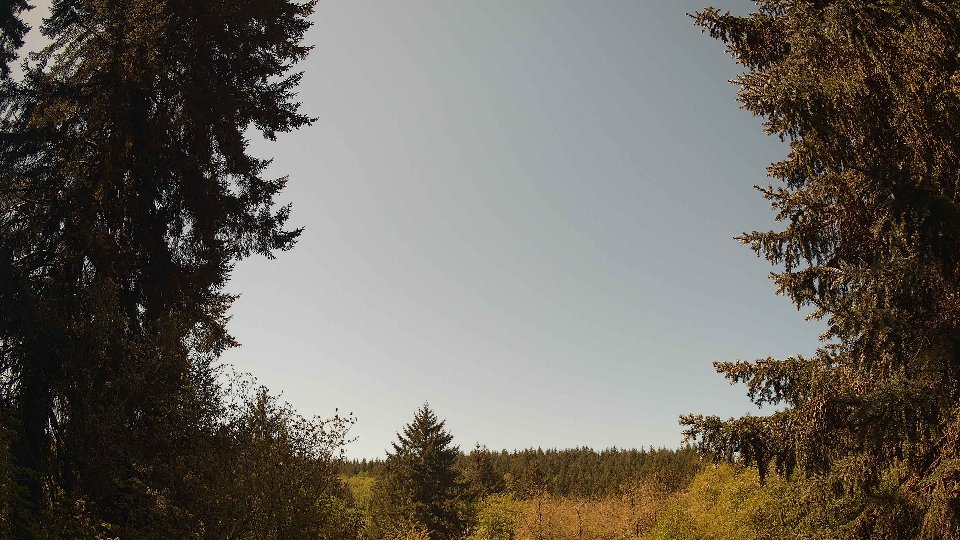 Pacific Northwest skyline timelapse frame from May 3rd, 2026 at 11:45 AM