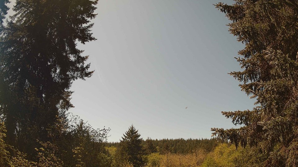 Pacific Northwest skyline timelapse frame from May 3rd, 2026 at 12:15 PM