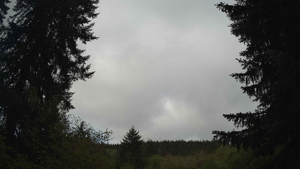 Pacific Northwest skyline timelapse frame from May 4th, 2026 at 8:30 AM