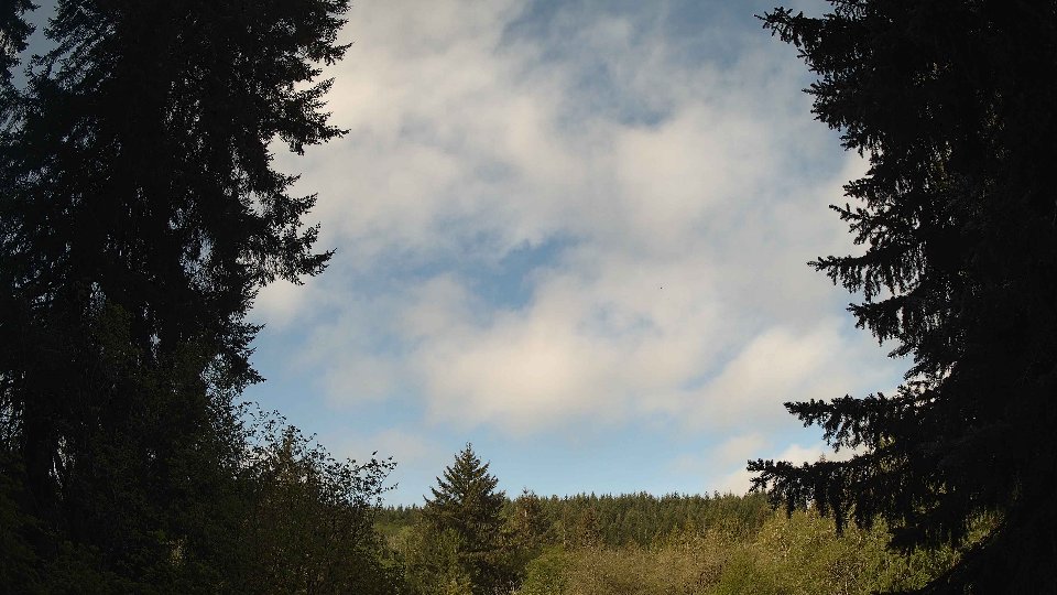 Pacific Northwest skyline timelapse frame from May 4th, 2026 at 9:00 AM