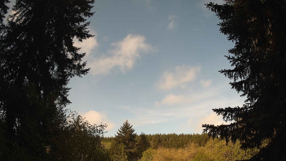 Pacific Northwest skyline timelapse frame from May 4th, 2026 at 9:15 AM