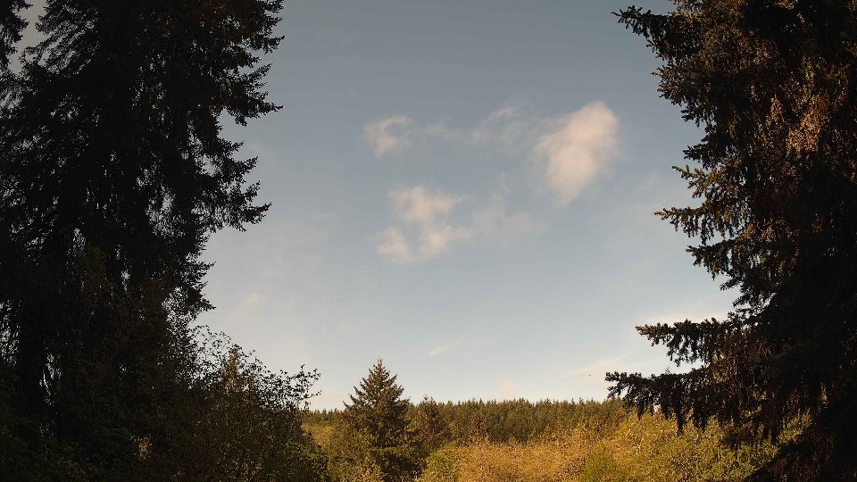 Pacific Northwest skyline timelapse frame from May 4th, 2026 at 9:30 AM