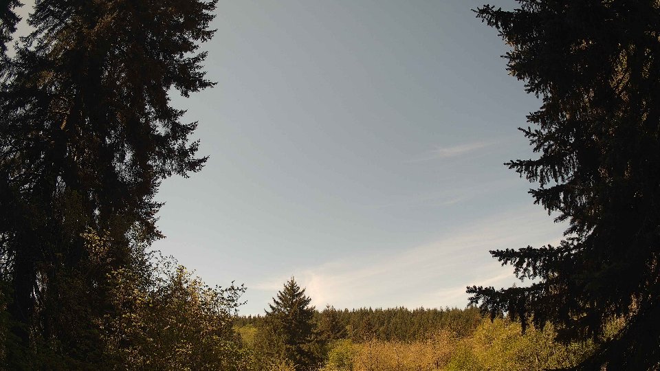 Pacific Northwest skyline timelapse frame from May 4th, 2026 at 11:15 AM