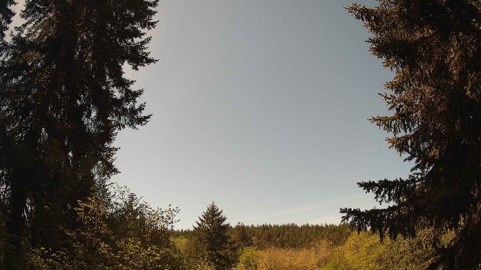 Pacific Northwest skyline timelapse frame from May 4th, 2026 at 11:30 AM