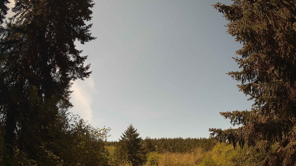 Pacific Northwest skyline timelapse frame from May 4th, 2026 at 11:45 AM