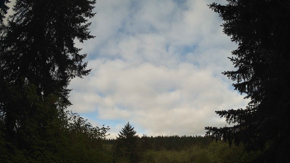 Pacific Northwest skyline timelapse frame from May 7th, 2026 at 8:00 AM