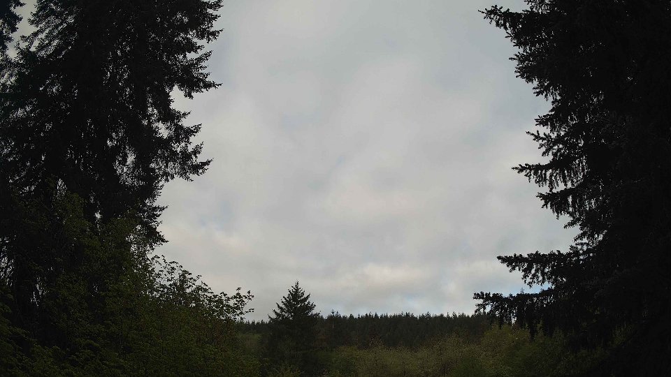 Pacific Northwest skyline timelapse frame from May 7th, 2026 at 8:15 AM