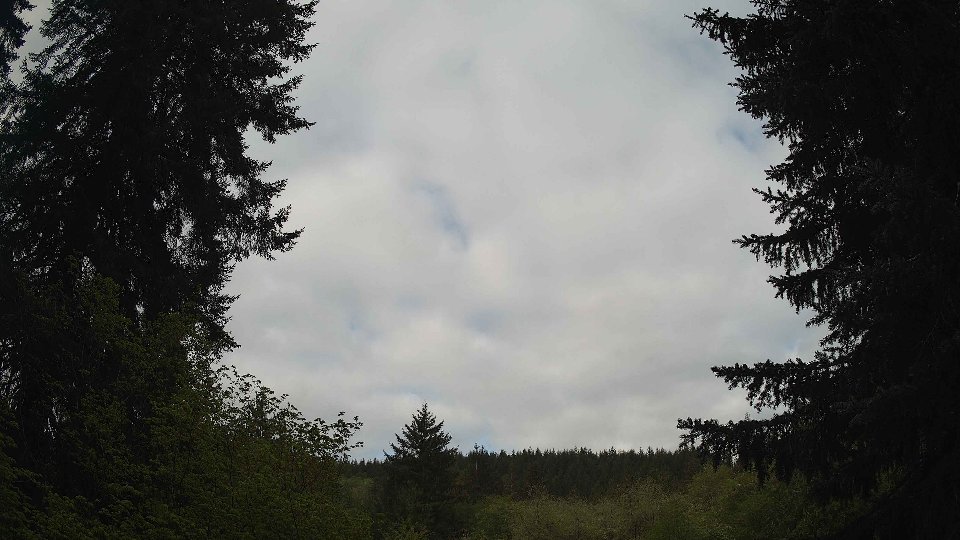 Pacific Northwest skyline timelapse frame from May 7th, 2026 at 8:30 AM