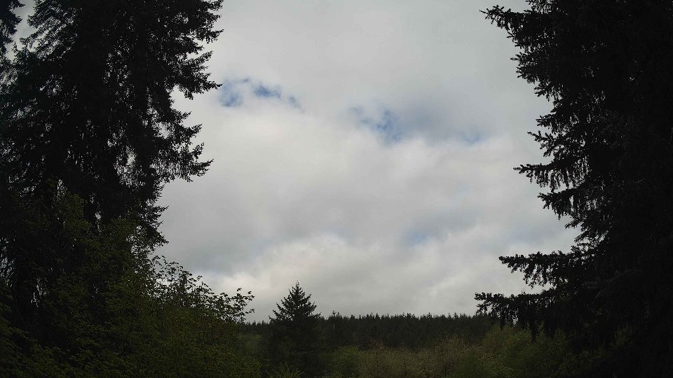 Pacific Northwest skyline timelapse frame from May 7th, 2026 at 9:00 AM