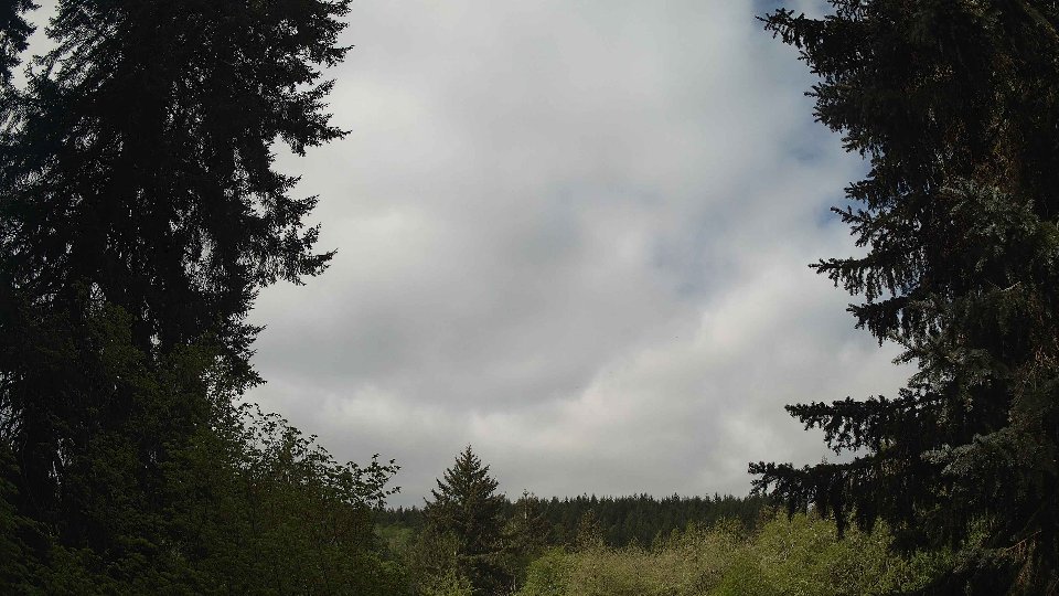 Pacific Northwest skyline timelapse frame from May 7th, 2026 at 9:45 AM