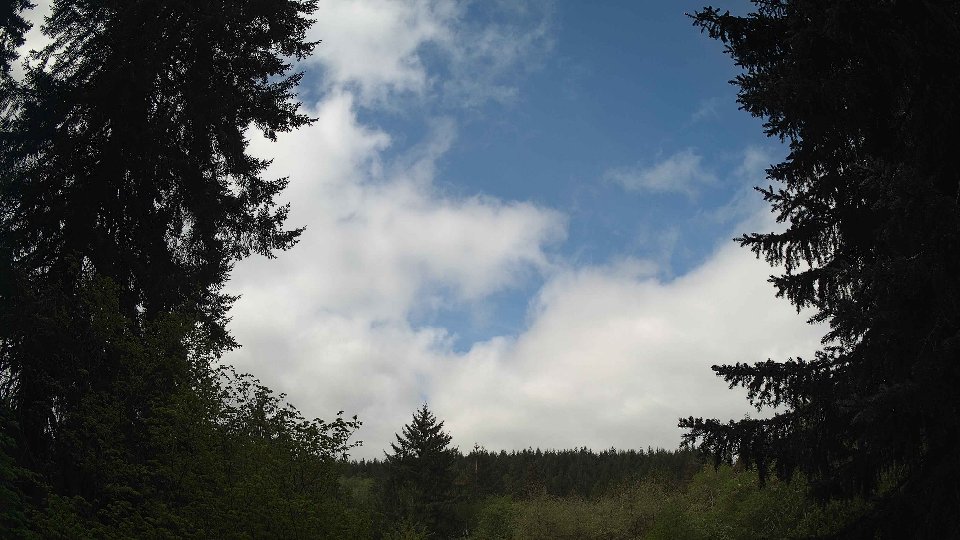 Pacific Northwest skyline timelapse frame from May 7th, 2026 at 10:00 AM