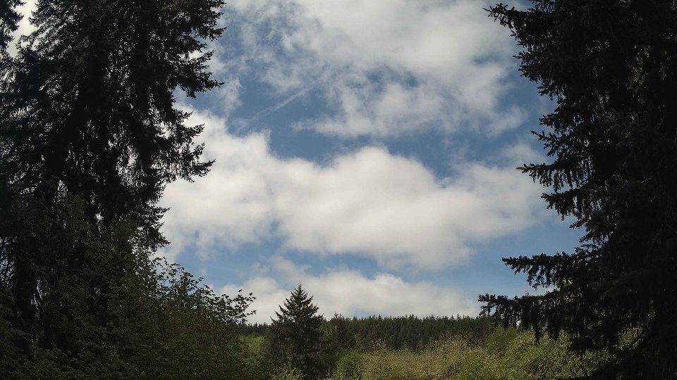 Pacific Northwest skyline timelapse frame from May 7th, 2026 at 10:45 AM