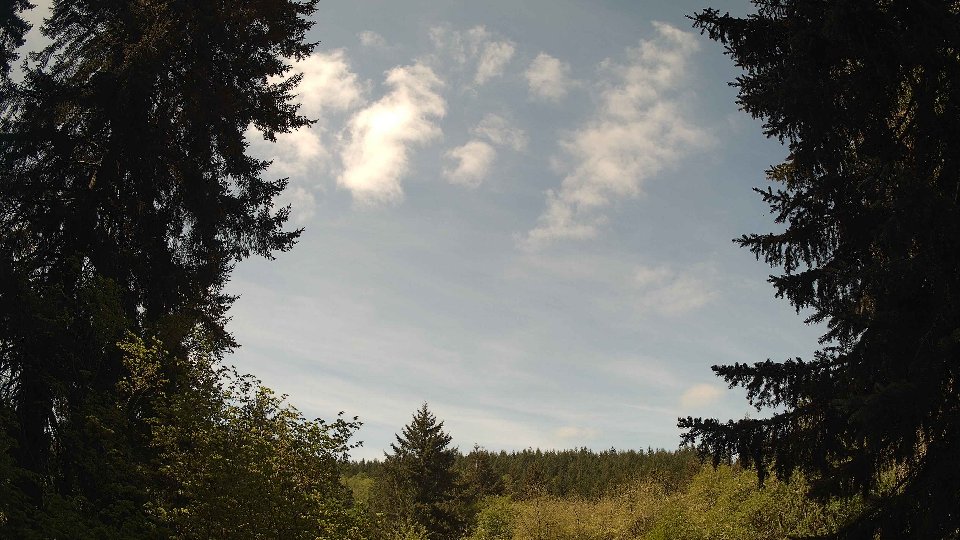 Pacific Northwest skyline timelapse frame from May 7th, 2026 at 11:15 AM