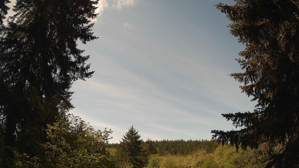 Pacific Northwest skyline timelapse frame from May 7th, 2026 at 11:30 AM