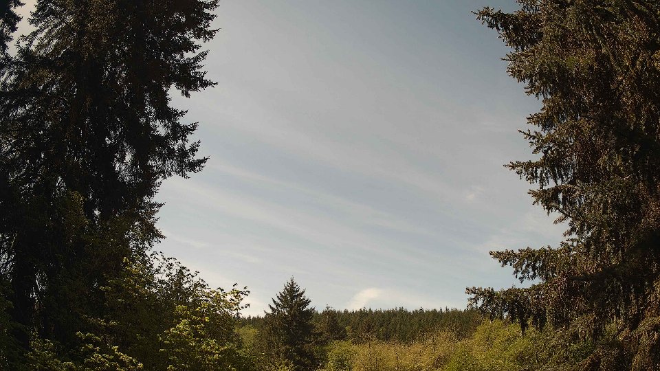 Pacific Northwest skyline timelapse frame from May 7th, 2026 at 11:45 AM