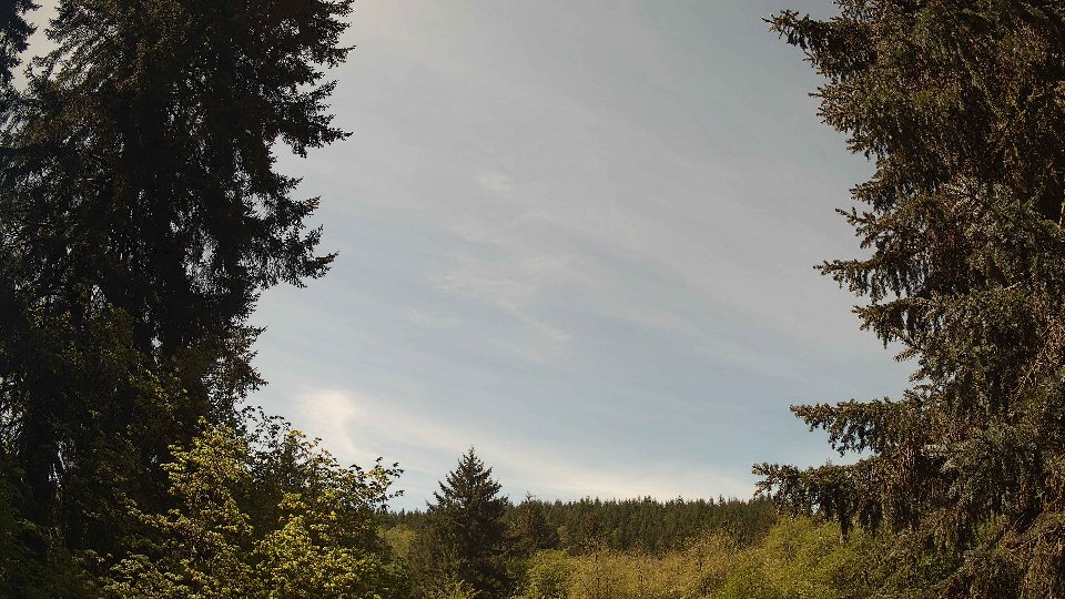 Pacific Northwest skyline timelapse frame from May 7th, 2026 at 12:00 PM