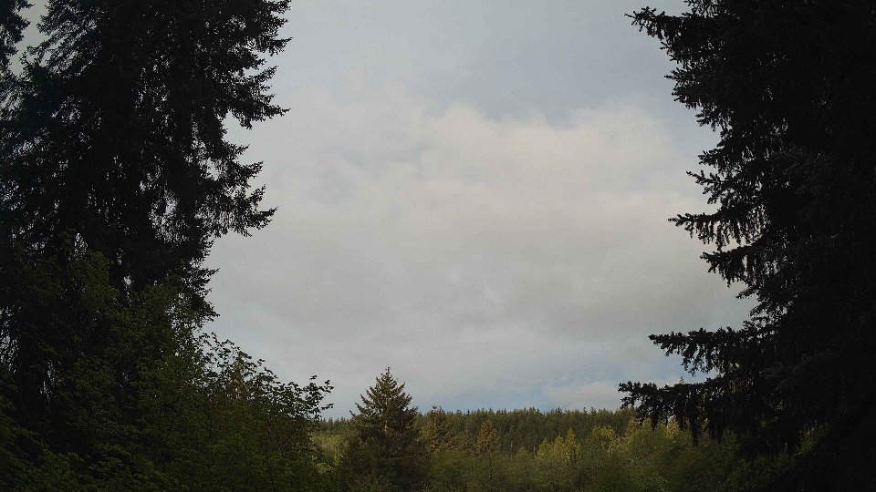 Pacific Northwest skyline timelapse frame from May 8th, 2026 at 7:00 AM