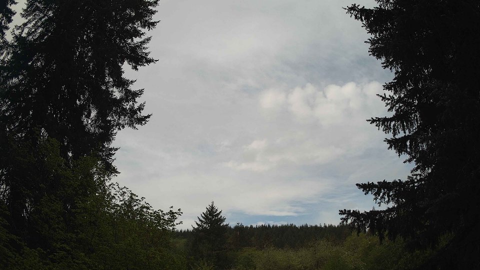 Pacific Northwest skyline timelapse frame from May 8th, 2026 at 8:30 AM
