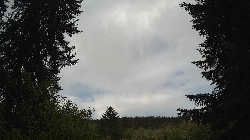 Pacific Northwest skyline timelapse frame from May 8th, 2026 at 8:45 AM