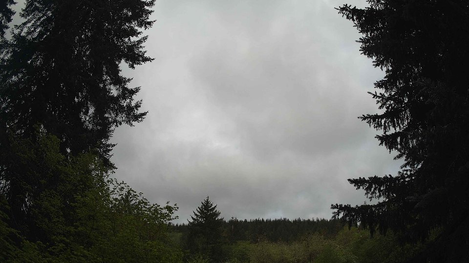 Pacific Northwest skyline timelapse frame from May 8th, 2026 at 9:00 AM