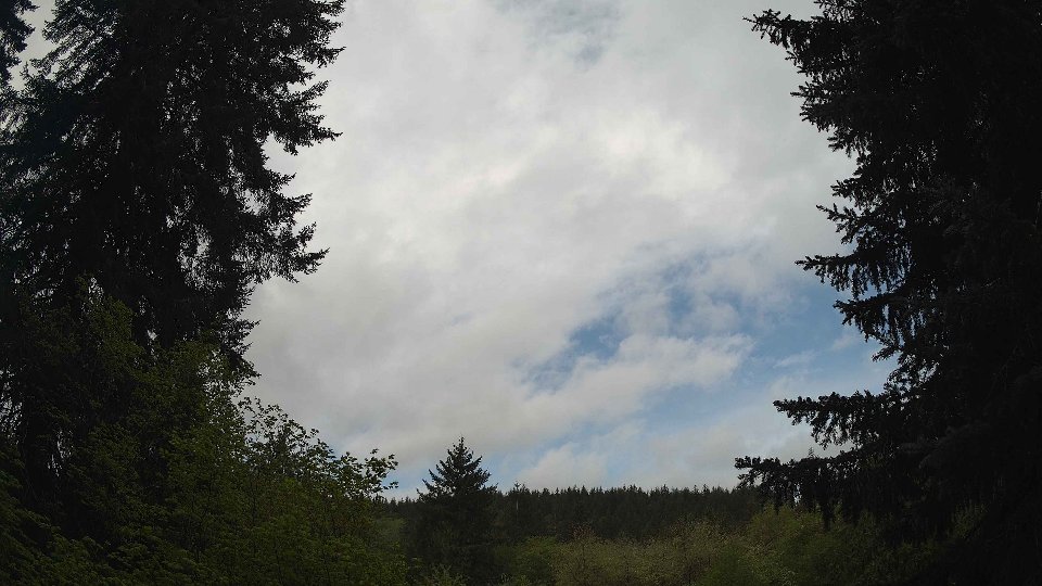 Pacific Northwest skyline timelapse frame from May 8th, 2026 at 9:15 AM