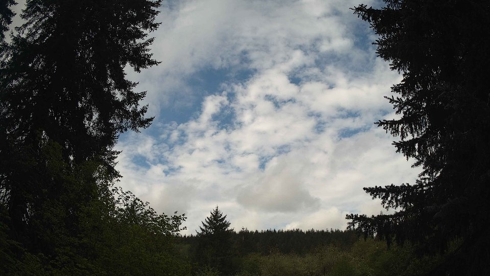 Pacific Northwest skyline timelapse frame from May 8th, 2026 at 10:00 AM