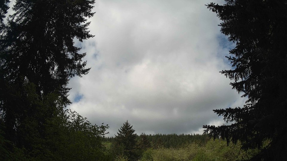 Pacific Northwest skyline timelapse frame from May 8th, 2026 at 10:15 AM
