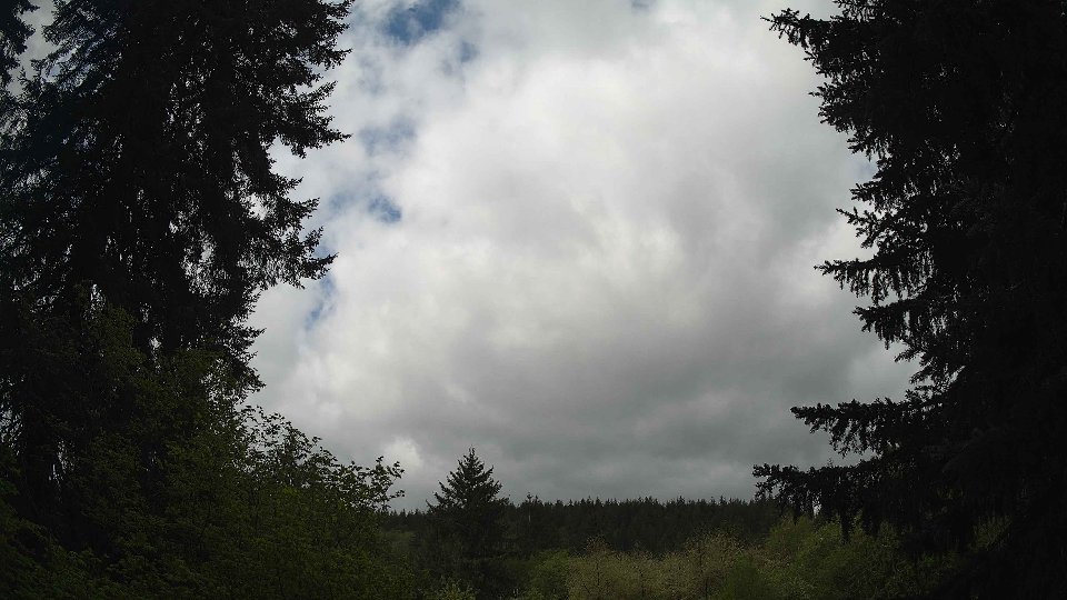 Pacific Northwest skyline timelapse frame from May 8th, 2026 at 10:30 AM