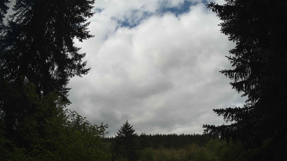Pacific Northwest skyline timelapse frame from May 8th, 2026 at 11:00 AM