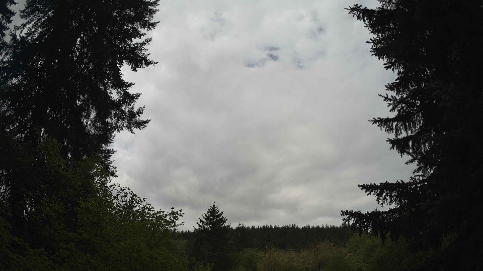 Pacific Northwest skyline timelapse frame from May 8th, 2026 at 11:15 AM