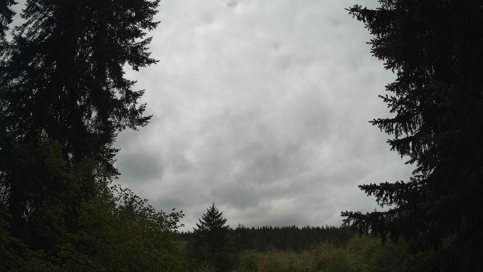 Pacific Northwest skyline timelapse frame from May 8th, 2026 at 11:30 AM