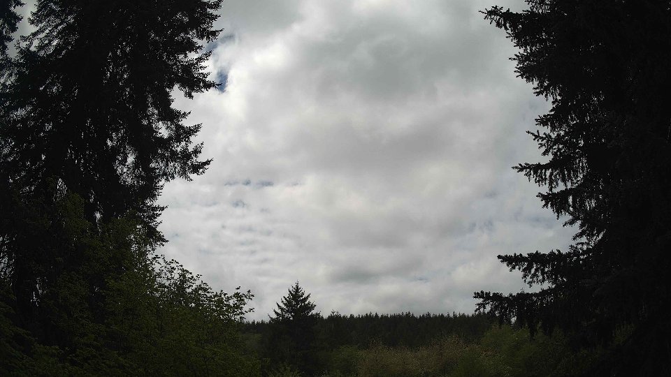 Pacific Northwest skyline timelapse frame from May 8th, 2026 at 12:00 PM