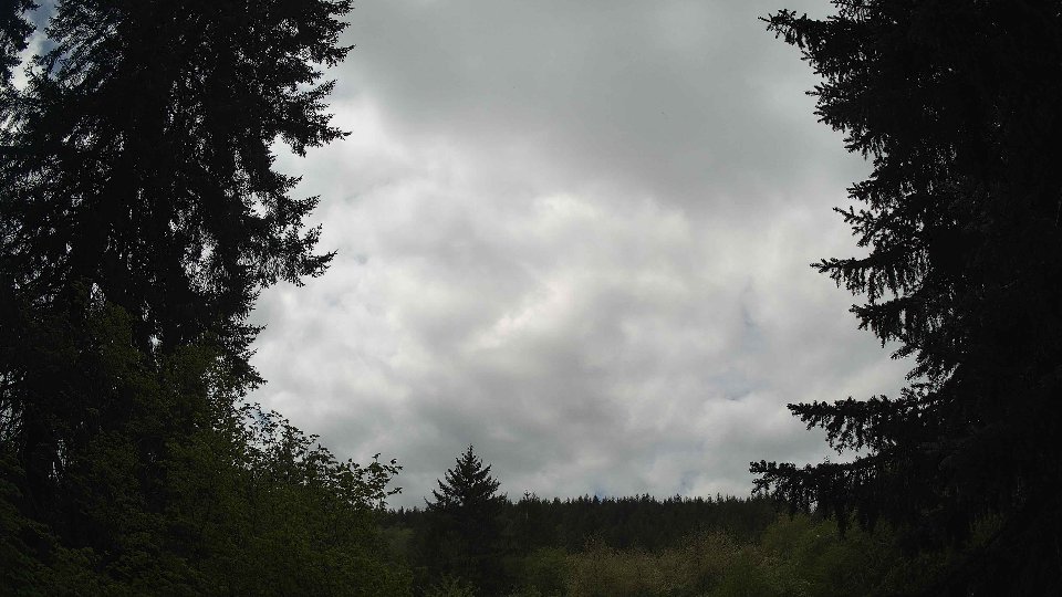 Pacific Northwest skyline timelapse frame from May 8th, 2026 at 12:15 PM