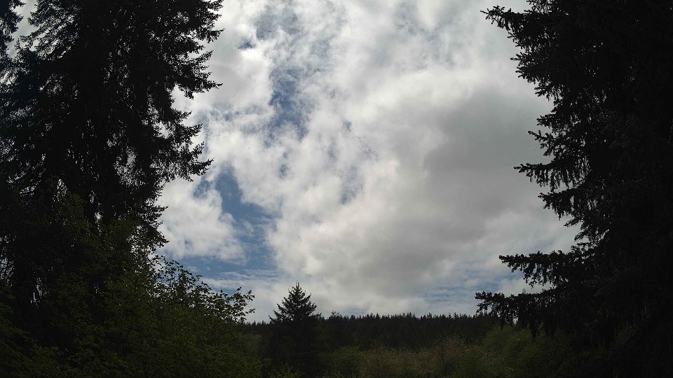Pacific Northwest skyline timelapse frame from May 8th, 2026 at 12:30 PM