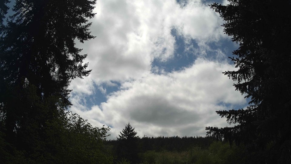 Pacific Northwest skyline timelapse frame from May 8th, 2026 at 1:30 PM