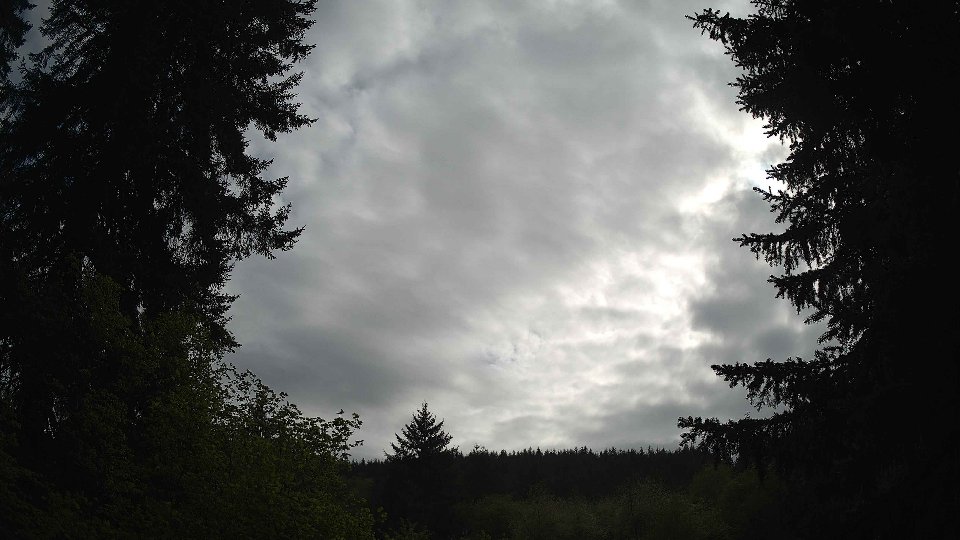 Pacific Northwest skyline timelapse frame from May 8th, 2026 at 5:00 PM