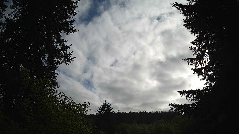 Pacific Northwest skyline timelapse frame from May 8th, 2026 at 5:30 PM