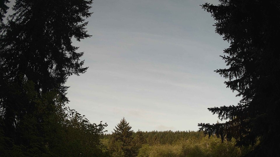 Pacific Northwest skyline timelapse frame from May 9th, 2026 at 8:00 AM