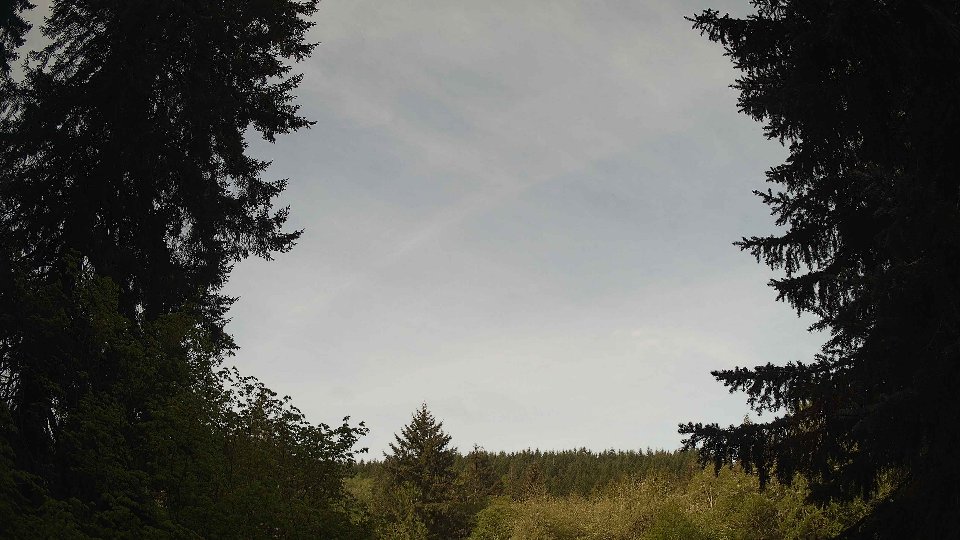 Pacific Northwest skyline timelapse frame from May 9th, 2026 at 8:30 AM