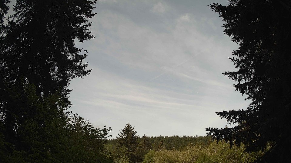 Pacific Northwest skyline timelapse frame from May 9th, 2026 at 8:45 AM