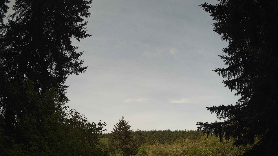 Pacific Northwest skyline timelapse frame from May 9th, 2026 at 9:00 AM