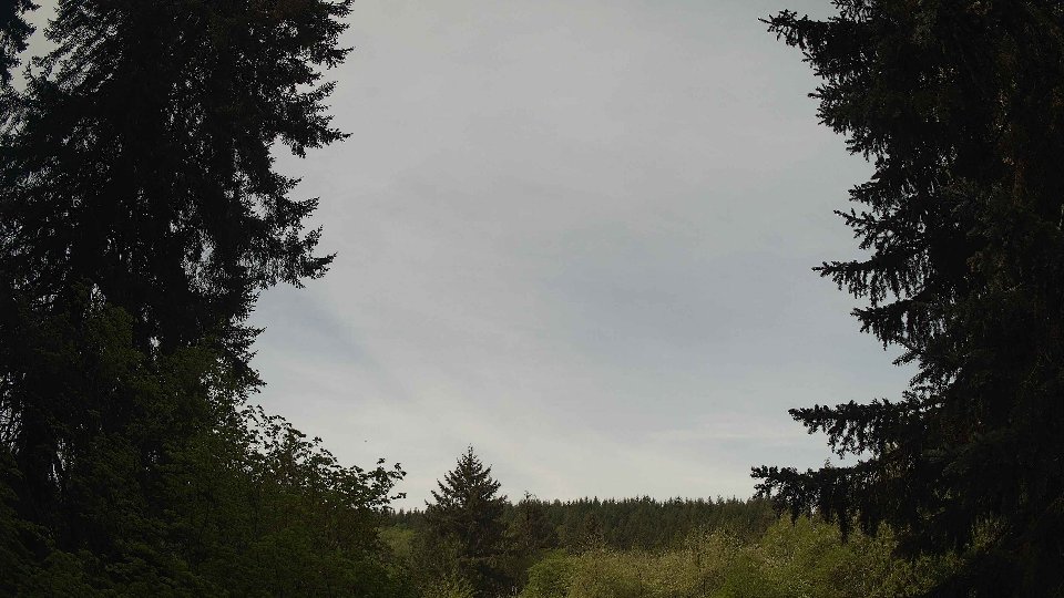 Pacific Northwest skyline timelapse frame from May 9th, 2026 at 10:00 AM