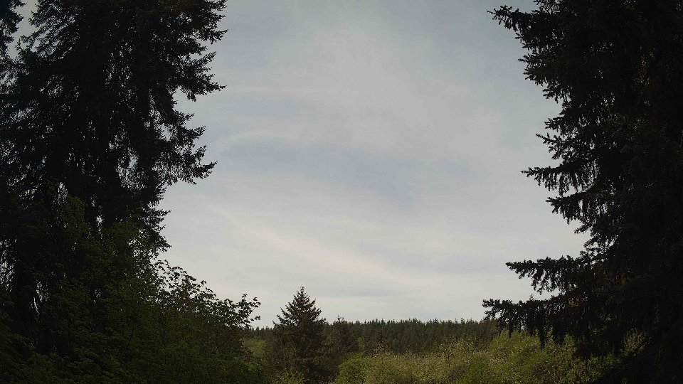Pacific Northwest skyline timelapse frame from May 9th, 2026 at 10:15 AM